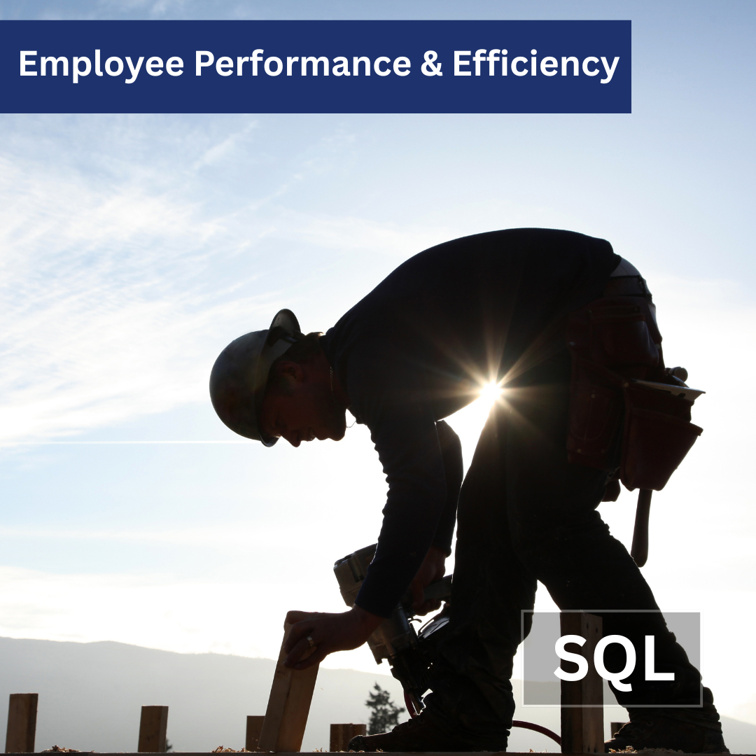 Employee Performance and Setup Efficiency Query for VISUAL ERP