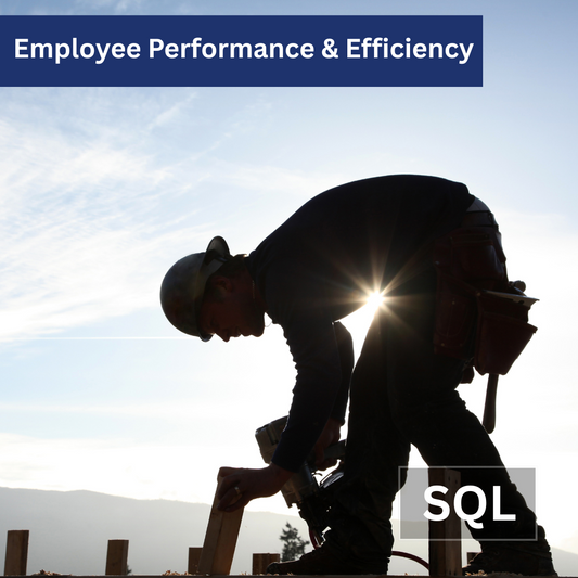 Employee Performance and Setup Efficiency Query for VISUAL ERP