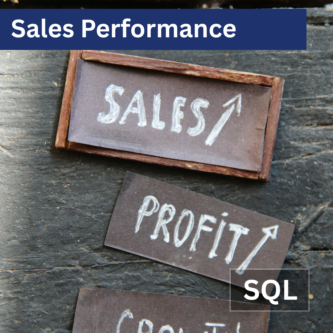 Sales Performance Query for Infor VISUAL ERP